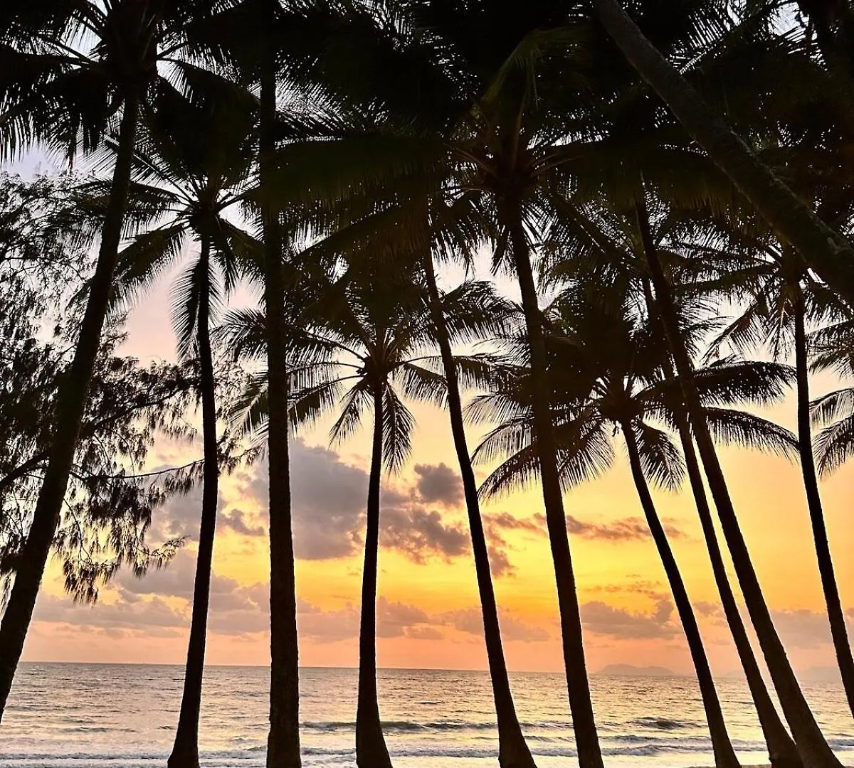 Arte Bianco Villa Palm Cove Australia